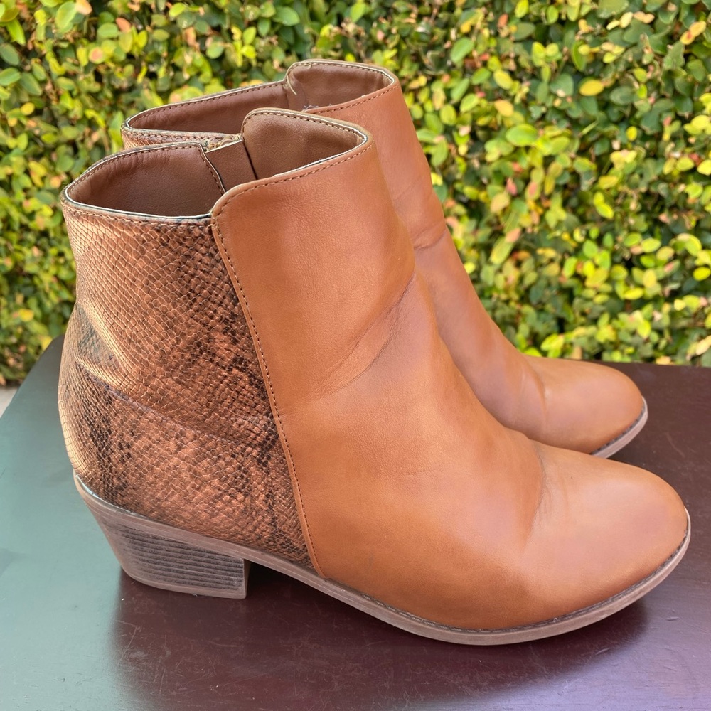 Brown Snakeskin Ankle Booties